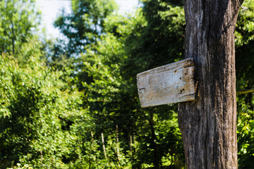 Empty sign directions on a tree in a green summer forest. Self-made rectangular board form pointer with space for text on nature background. Brown blank path indication billboard in woodland