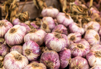 Close-up dry garlic on street market
