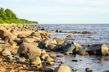 Fototapeta na wymiar rocky coast of the Baltic Sea in the Gulf of Riga