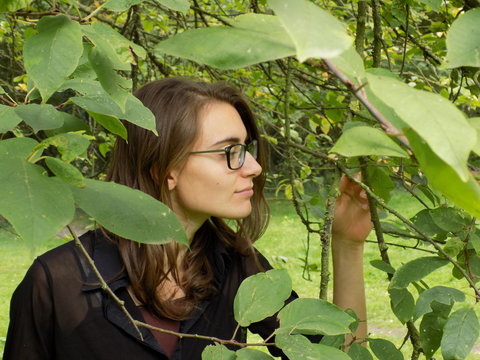 Julie Dans Les Bois 