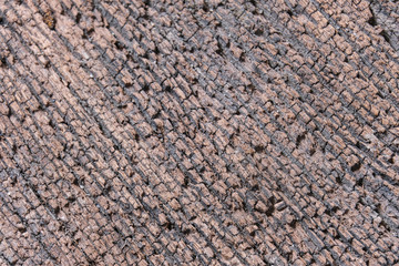 Close up old wood surface,detail of aged wood plank,macro shot.
