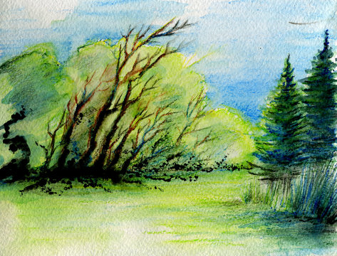 watercolor landscape forests, firs and river