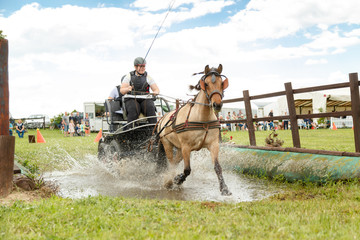 Marathonfahrt durchs Wasser