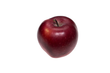 Red variety apple (black Prince) on white background