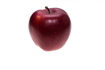 Red variety apple (black Prince) on white background