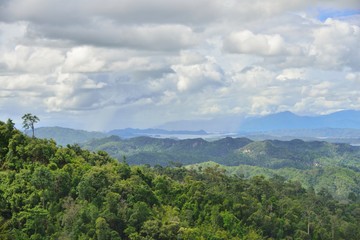 Obraz premium Forest Of Thailand with Landscape View