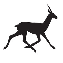 Vector black silhouette of african antelope isolated on white background