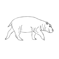 Vector black outline hand drawn sketch doodle hippopotamus isolated on white background 