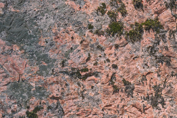 beautiful karalovogo color stone with a creative seasoned lichen on a boulder texture - abstract background photo