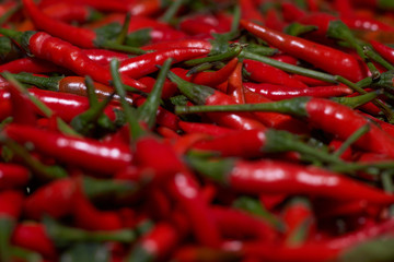 agriculculture, farming, crops, farm produce