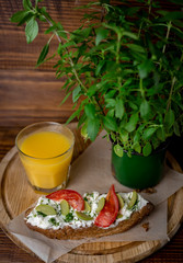  Vegetarian bruschetta. Rustic breakfast in green grass