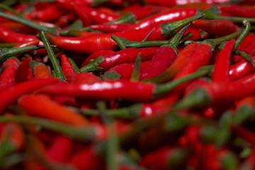 agriculculture, farming, crops, farm produce