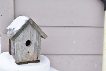 Snow Sanctuary