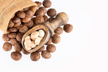 Sacha inchi - Plukenetia volubilis. White background