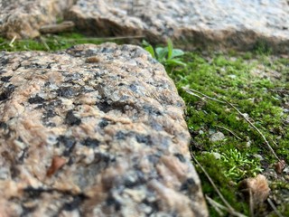 Mossy stone