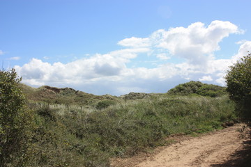 hill landscape