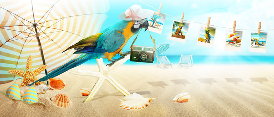 Papagei mit Fotoapparat im Urlaub am Strand