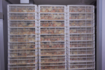 agriculculture, farming, crops, farm produce