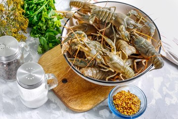 Fresh crayfish in a bowl with spices on a concrete background - ingredients for cooking cooked crayfish in a multicooker. Step 1.