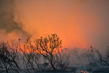 Eerie glow of wildfire through smoke