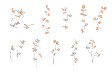 Hand drawn floral set