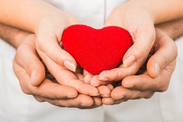Female and Male Hands Holding a Heart