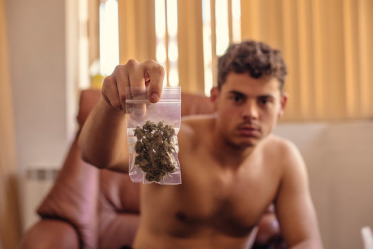 Bare chested man showing marijuana buds