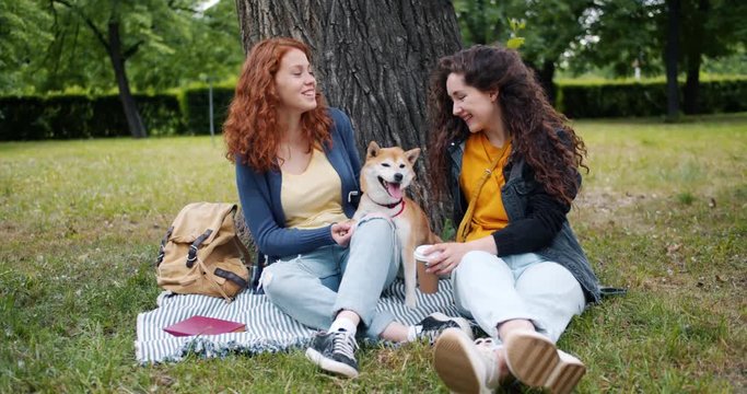 Female friends beautiful young women are relaxing in park with adorable dog talking laughing caressing pet holding take out coffee. People and leisure time concept.