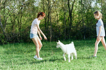 man and his dog