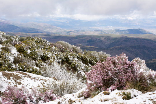Snow at Way of St. James, near Cruz de Ferro, Spain