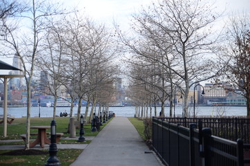 bridge in park