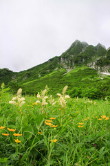 木曽駒ヶ岳