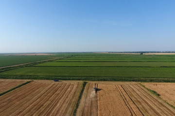 Combine harvester harvest barley