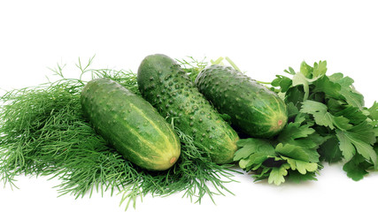 fresh cucumbers, dill and parsley isoalted on white background