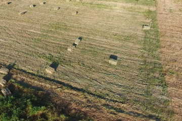 Rectangular bales of hay on the field. Hay