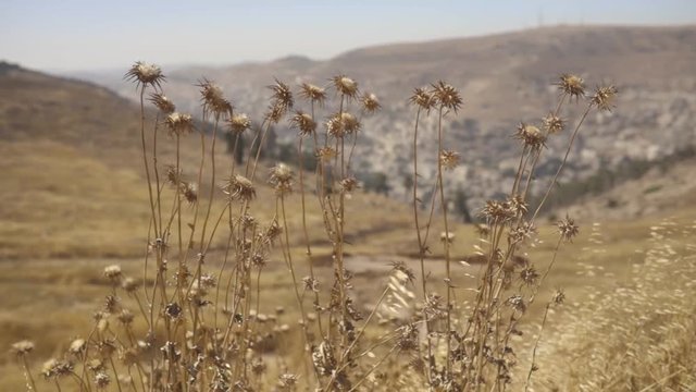 Mitzpe Yosef - Joseph's Lookout. palestinian City of Nablus in West Bank - Samaria