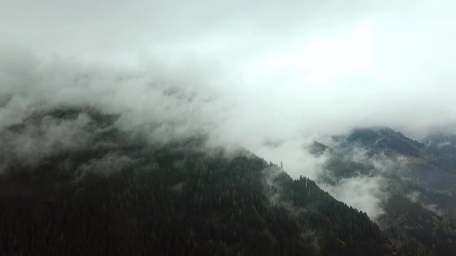 Wald in den Bergen der Alpen. Der Nebel zieht auf.