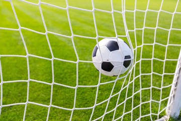 A Soccer Ball in a Net