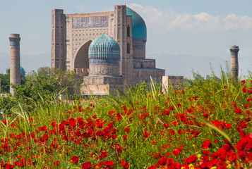 Bibi Honum with poppies.