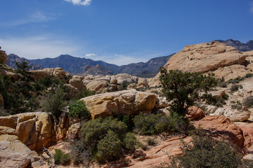 Fototapeta na wymiar Red Rock Canyon Landscape