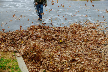 Man working with leaf blower the leaves are being swirled up and down on a sunny day