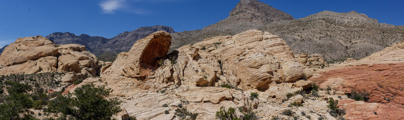 Fototapeta premium Red Rock Canyon Landscape