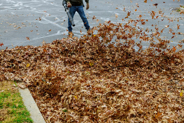 Cleaning of the territory from leaves in autumn people with brooms,