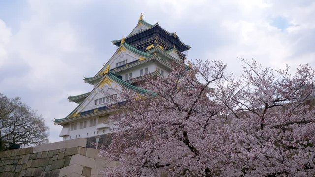 Osaka castle with cherry blossom. Japanese spring beautiful scene.