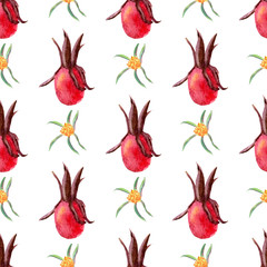 Seamless pattern. Flowers and fruits of rose hips Watercolor. Flower illustrations. Bohemian bouquets of flowers, wreaths, wedding compositions, anniversary, birthday, invitations greeting cards