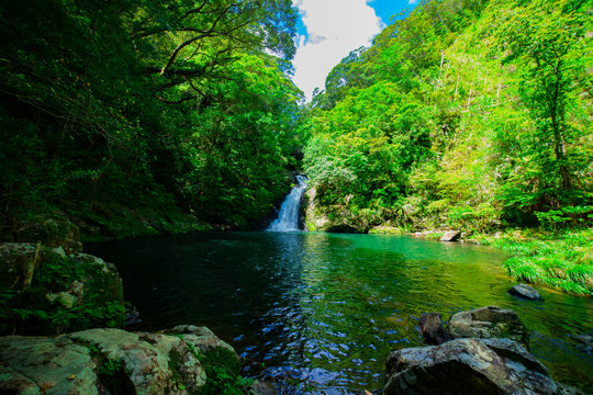Materiya waterfall in the green forest in Amami oshima Kagoshima sunny day