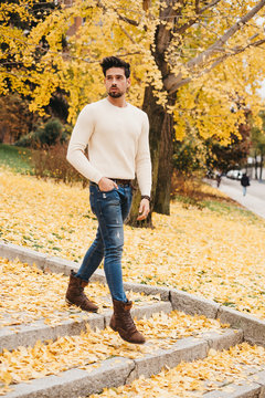Glamorous handsome man in jeans and white sweater walking on yellow autumn leaves in city