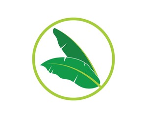 banana leaves element vector icon illustration