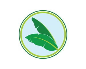 banana leaves element vector icon illustration