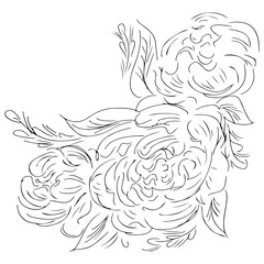 Line art peony hand drawn outline for print design. Vector isolated outline drawing. Flower pattern. Tattoo sketch. Vector peony floral botanical flower.